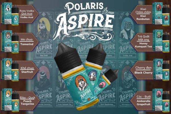 POLARIS ASPIRE SALT NIC PHOENIX